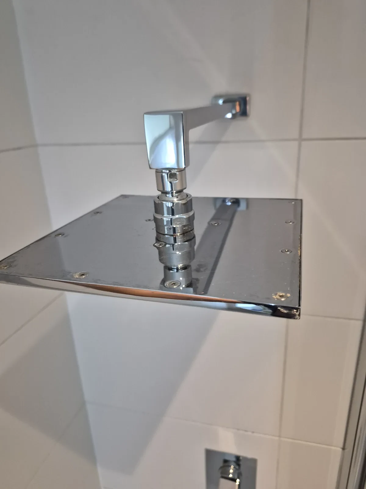 Polished shower head after limescale removal