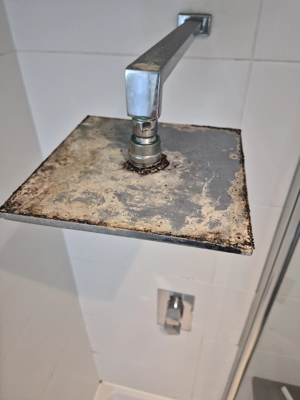 Limescale covered shower head before WhiteForm cleaning