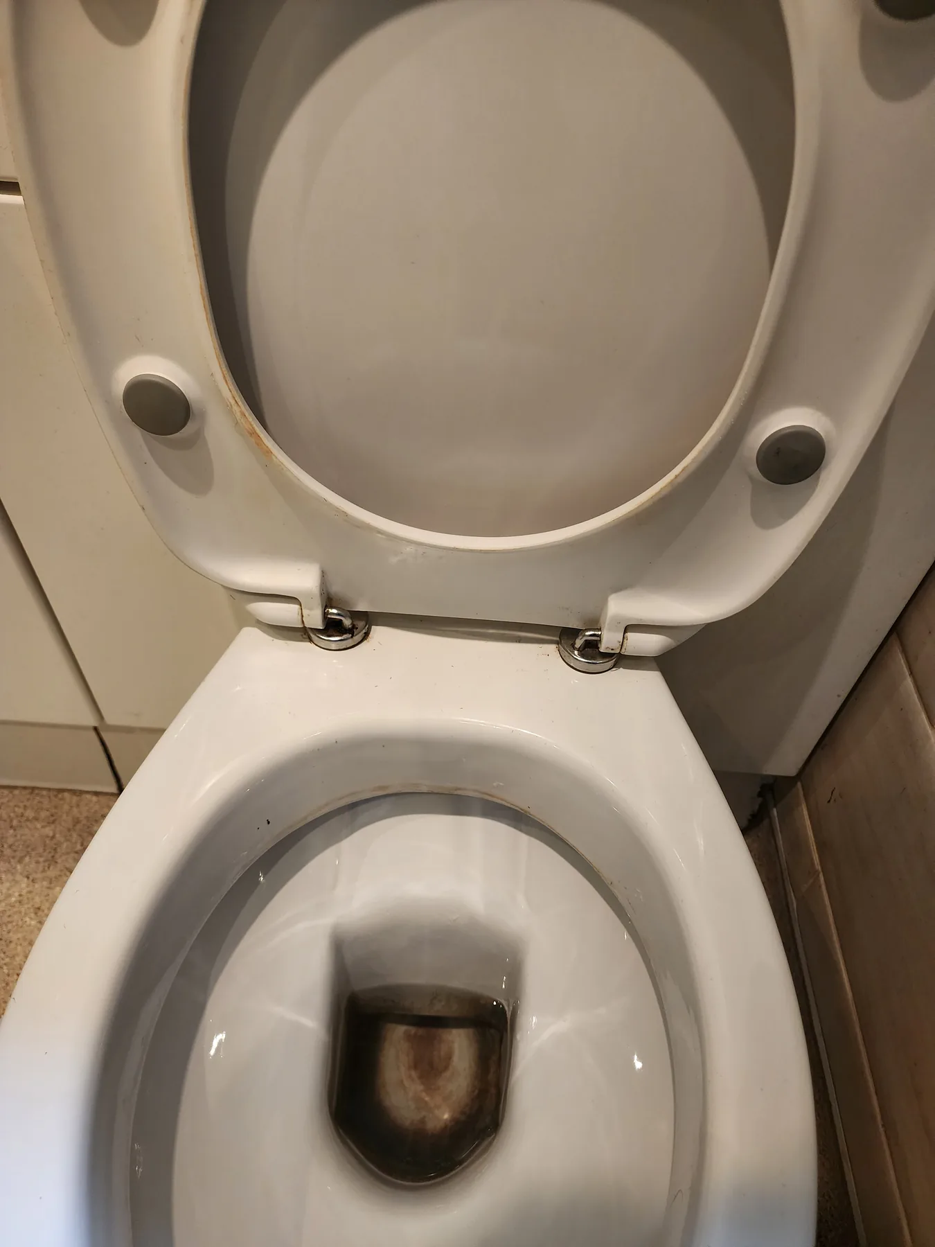 Toilet before WhiteForm cleaning